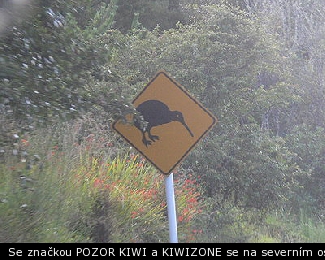 Se značkou POZOR KIWI a KIWIZONE se na severním ostrově můžete setkat poměrně často. Bohužel KIWI je téměr vyhynulý a ve volné přirodě se s ním téměř jistě nesetkáte..